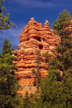 Red Canyon, Utah, USA van Adelheid Smitt