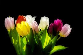 Kleurrijke tulpen by Simone Huisman