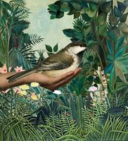 Henri's Bird