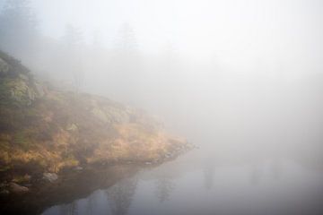 Nebliger See im norwegischen Kiefernwald, Fotodruck