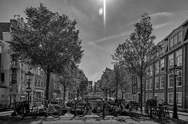 Shadows by Peter Bartelings