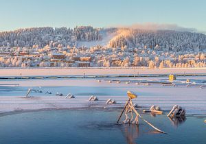 Une froide journée d'hiver à Östersund