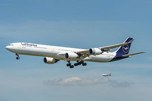 Lufthansa Airbus A340-600 kurz vor der Landung.