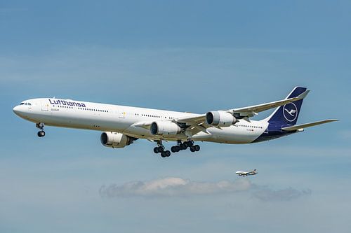 Lufthansa Airbus A340-600 vlak voor de landing.