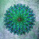 Mandala - Grunge in Grün und Blau von Rietje Bulthuis Miniaturansicht