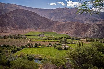 Wijnbouw in de Elqui Vallei van Thomas Riess
