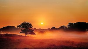 Foggy Dunes Gasteren Netherlands Zonsopkomst van R Smallenbroek