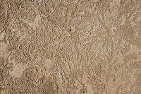 Balls of sand on a beach