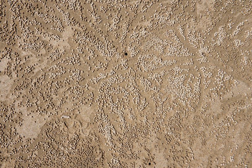 Zandballen op het strand von Andrew Chang