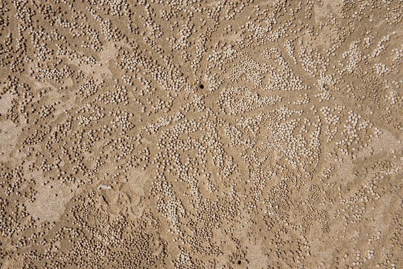 Balls of sand on a beach by Andrew Chang