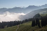 Brouillard dans les montagnes