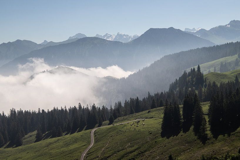 Brouillard dans les montagnes par Sasja van der Grinten