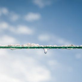 Clothesline avec ice drop sur Geert D