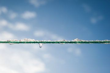 Clothesline with ice drop by Geert D