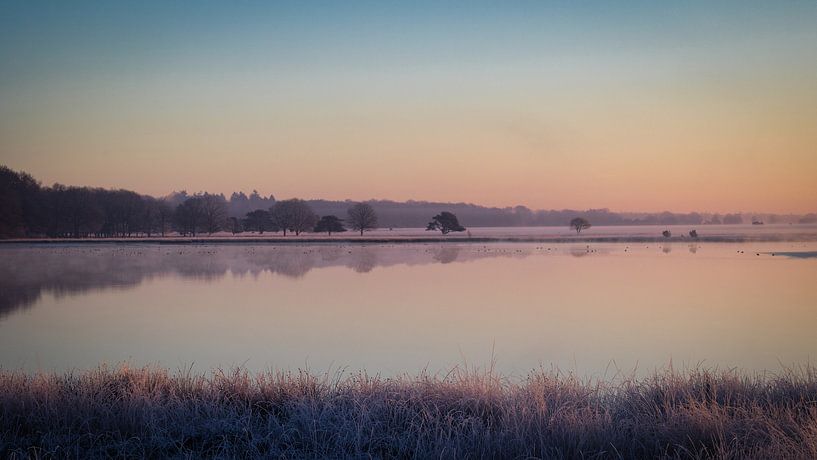 Departing fog at the Davidsplassen. by Anneke Hooijer
