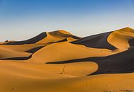 Sahara; Very Chegaga by Bep van Pelt- Verkuil thumbnail