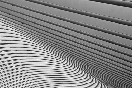 Elle est toute en courbes