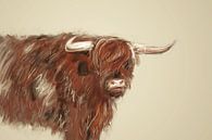 Querformat - Schottischer Highlander mit cremefarbenem Hintergrund von Emiel de Lange Miniaturansicht
