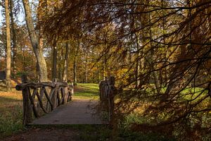 Landschaft mit einer Holzbrücke im Herbst im Wald