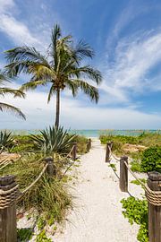Path to the beach by Melanie Viola