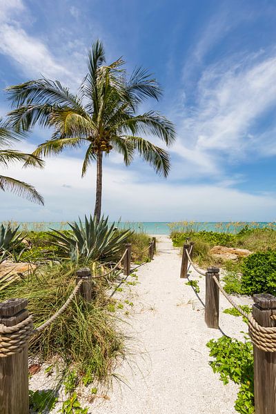 Path to the beach by Melanie Viola