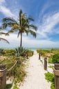 Path to the beach by Melanie Viola thumbnail