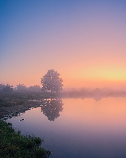 Zonsopkomst Aekingerzand van Henk Meijer Photography