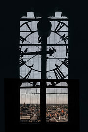 There really is something special about Groningen – pigeons on the Martini Tower clock by Elianne van Turennout