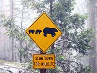Slow down for wildlife, Verenigde Staten