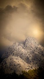 Im Licht der Berge von Judy Pietuszko