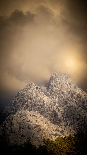 Im Licht der Berge