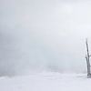 Lonely and inhospitable by Andius Teijgeler