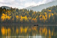 Bomen in herfstkleuren met roeiboot op spiegelend meer in Canada
