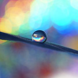 Rainbow by Kayleigh van der Lee