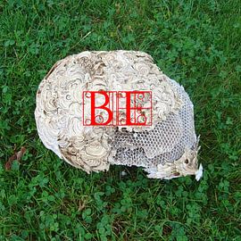 Nicht von Jack Wilms