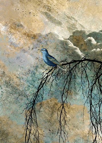 HEAVENLY BIRD IIc portrait