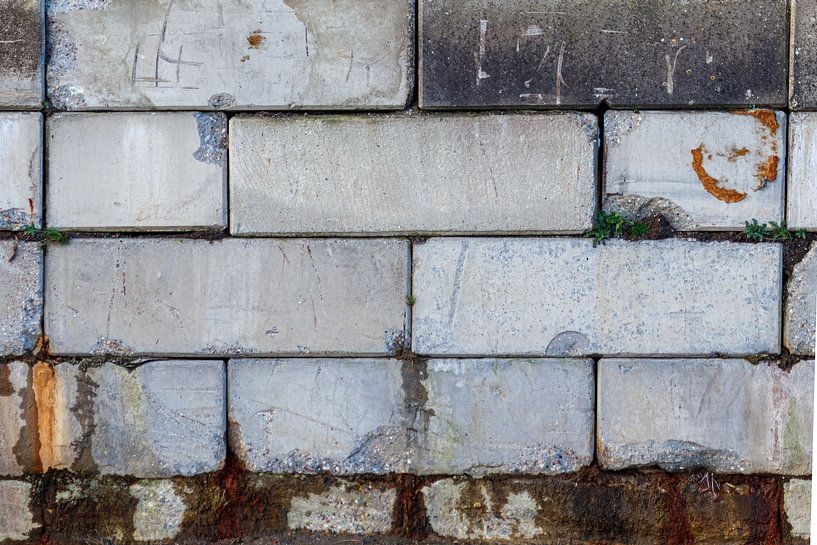Steinmauer von Anjo ten Kate