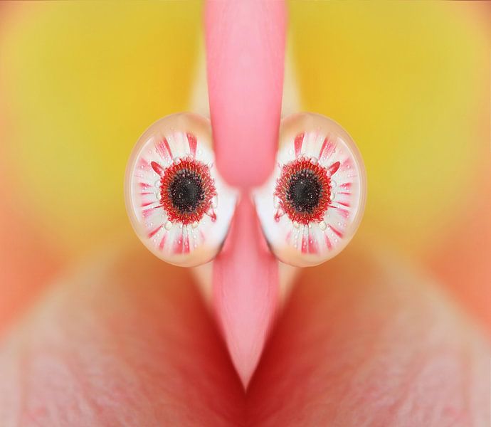 Lustiges Huhn Gesicht von SusaZoom