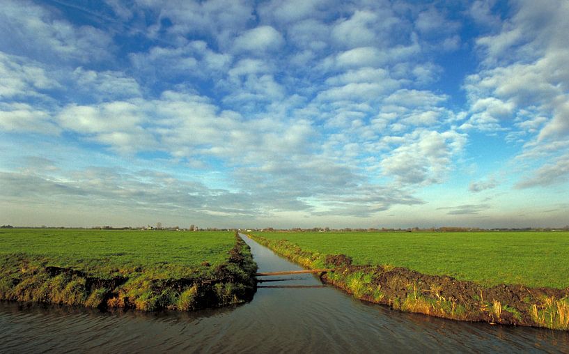 Hollands Polderland van Wim van der Ende