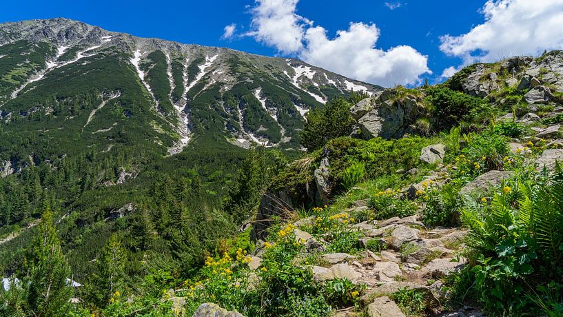 Hiking trail in Pirin NP in Bulgaria by Jessica Lokker