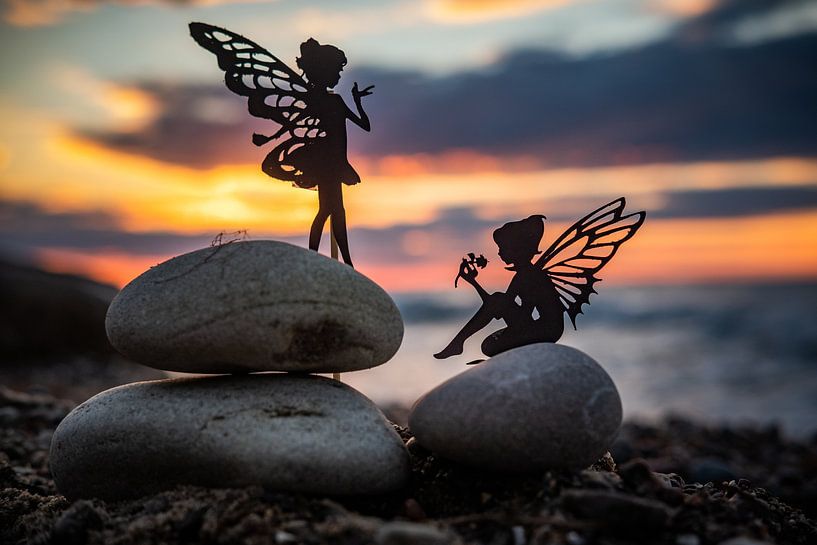 schüchtern im Abendlicht von Doreen Böhnke