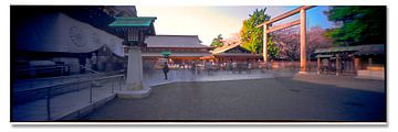 yasukuni 7