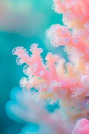Delicate coral world by Poster Art Shop