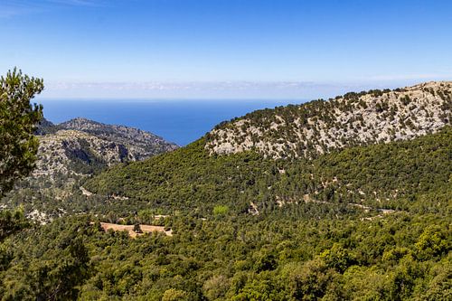 Landscape on the Balearic Island Mallorca