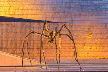 Het Guggenheim Museum, Bilbao van Henk Meijer Photography