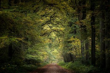 Last Leaves of Autumn van Kees van Dongen