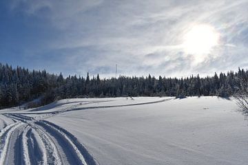 A snowmobile trail in a field by Claude Laprise