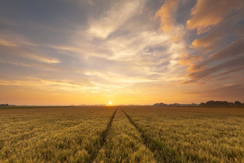 Sonnenuntergang bei Westeremden von Ron Buist