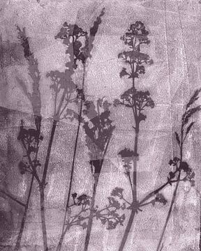 Sogni di fiori. Retro Blumen, Pflanzen und Gräser in Taupe von Dina Dankers