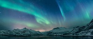 Nordlichter über den Lofoten im Winter in Norwegen